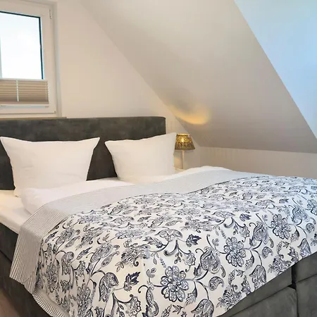 Duene 7 Strandgut * Zingst